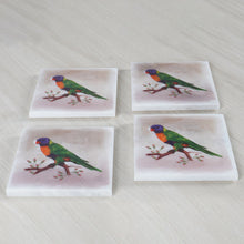 Load image into Gallery viewer, Australian Birds Coaster
