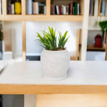 Load image into Gallery viewer, planter, indoor planter, marble planter