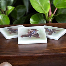 Load image into Gallery viewer, marble-coasters-australian-birds