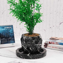 Load image into Gallery viewer, planter, indoor planter, marble planter