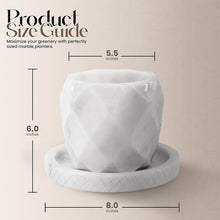 Load image into Gallery viewer, pineapple-planter-15cm-8