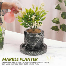 Load image into Gallery viewer, pineapple-planter-15cm