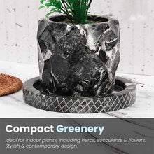Load image into Gallery viewer, pineapple-planter-15cm