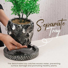 Load image into Gallery viewer, pineapple-planter-15cm