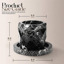 Load image into Gallery viewer, pineapple-planter-15cm