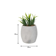 Load image into Gallery viewer, planter, indoor planter, marble planter