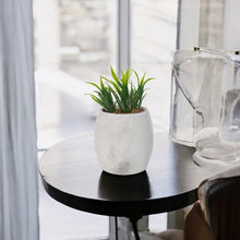 Load image into Gallery viewer, planter, indoor planter, marble planter