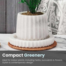 Load image into Gallery viewer, Straight Line Planter - 10cm