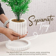 Load image into Gallery viewer, Straight Line Planter - 10cm