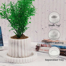 Load image into Gallery viewer, Straight Line Planter - 10cm