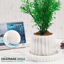 Load image into Gallery viewer, Straight Line Planter - 10cm