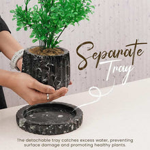 Load image into Gallery viewer, Straight Line Planter - 10cm