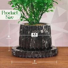 Load image into Gallery viewer, Straight Line Planter - 10cm