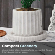 Load image into Gallery viewer, straight-line-planter-15cm-4