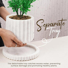 Load image into Gallery viewer, planter, indoor planter, marble planter