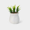 Planter Pots