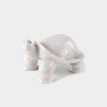 Load image into Gallery viewer, Big Turtle

