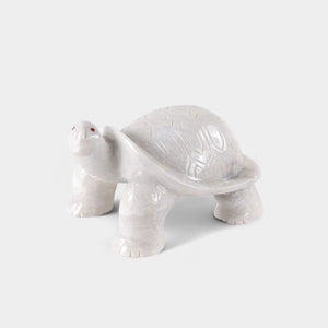 Big Turtle