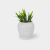 Planter Pots