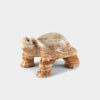 Big Turtle