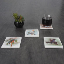 Load image into Gallery viewer, ArtMarble Coasters - Australian Birds
