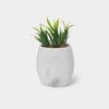Planter Pots