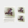 Australian Birds Coaster