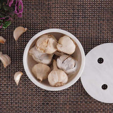 Load image into Gallery viewer, Garlic Keeper - Design B
