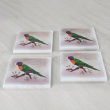 Load image into Gallery viewer, ArtMarble Coasters - Australian Birds
