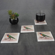 Load image into Gallery viewer, ArtMarble Coasters - Australian Birds
