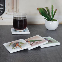 Load image into Gallery viewer, ArtMarble Coasters - Australian Birds
