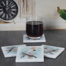 Load image into Gallery viewer, ArtMarble Coasters - Australian Birds
