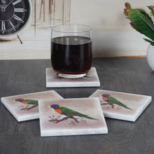 Load image into Gallery viewer, ArtMarble Coasters - Australian Birds
