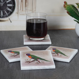 ArtMarble Coasters - Australian Birds