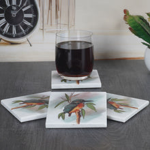 Load image into Gallery viewer, ArtMarble Coasters - Australian Birds
