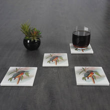 Load image into Gallery viewer, ArtMarble Coasters - Australian Birds
