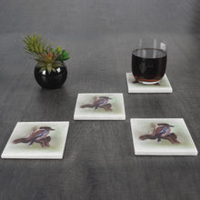 Load image into Gallery viewer, ArtMarble Coasters - Australian Birds
