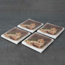 Load image into Gallery viewer, coasters, marblecoasters, cupcoasters
